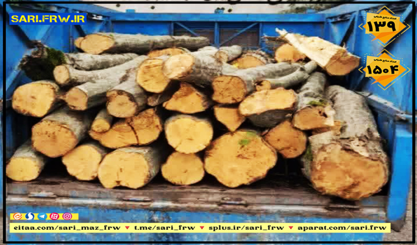 ۱۴۰ اصله نهال به یاد شهدای شهرستان عنبرآباد غرس شد.