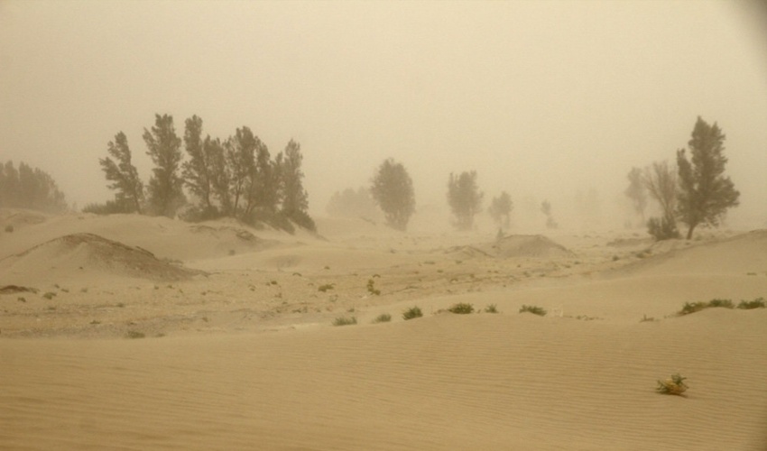 پیام تبریک مدیرکل منابع طبیعی و آبخیزداری جنوب کرمان به مناسبت فرارسیدن هفته دولت و روز کارمند