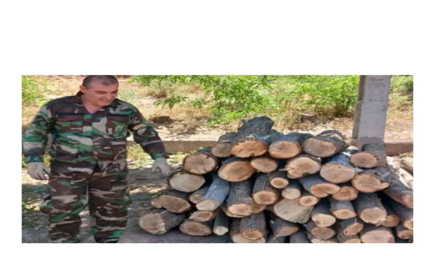 رئیس سازمان جنگل‌ها به مناسبت روز تشکل‌ها و مشارکت اجتماعی پیامی صادر کرد