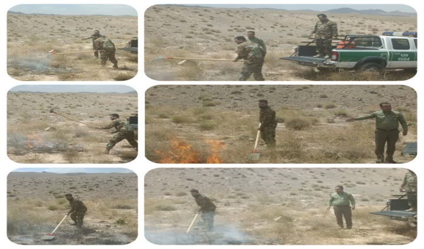 اعضای کمیسیون کشاورزی مجلس در سازمان جنگل‌ها