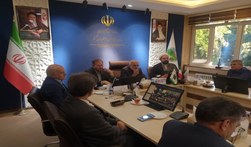 رییس قوه قضاییه: اگر زمینی رفع تصرف شد به هیچ عنوان درختان آن قطع نمی شود!