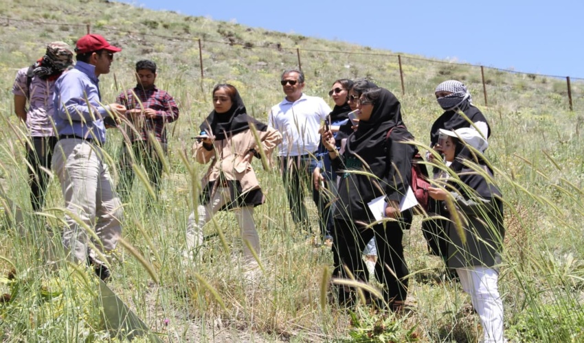۲۵ تن چوب بدون مجوز حمل در رودبارجنوب کشف شد.