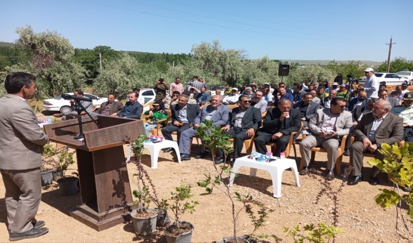 اجرای پنج هزار هڪتار جنگل‌ڪاری در جنوب ڪرمان