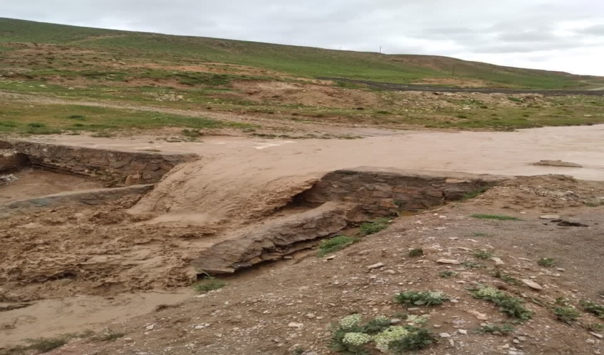 بذرڪاری در 50 هڪتار از مراتع حاجی آباد انجام شد