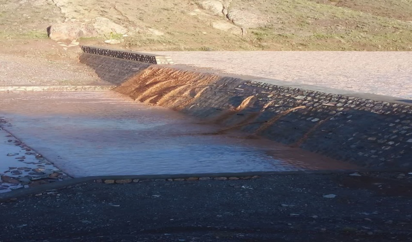 ویژه برنامه سلام جنگلبان به مناسبت روز جهانی جنگلبان