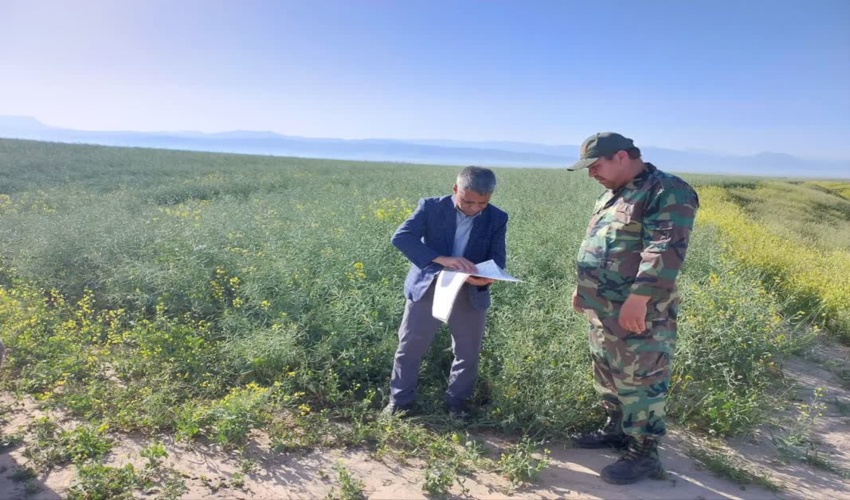 طی ۷ سال ۳۰۰ طرح آبخیزداری در جنوب کرمان اجرایی شد.