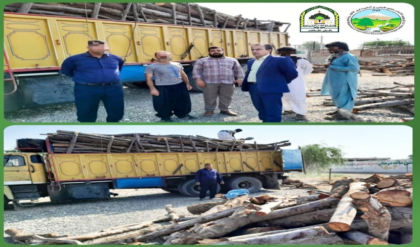رودبارجنوب/۱۰ تُن چوب بدون مجوز حمل در شهرستان رودبارجنوب کشف و ضبط شد