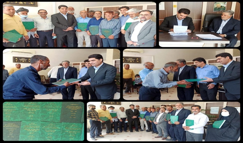 ۱۵طرح مرتعداری در جنوب کرمان به مجریان احاله مدیریت شد