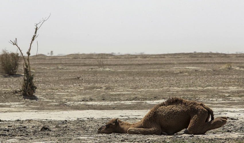 وقتی گرانی روی بیابان زدایی تاثیر می گذارد