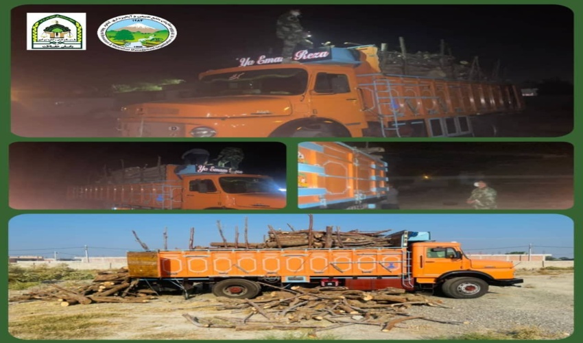  کشف و ضبط ۱٠ تُن چوب بدون مجوز حمل در شهرستان فاریاب