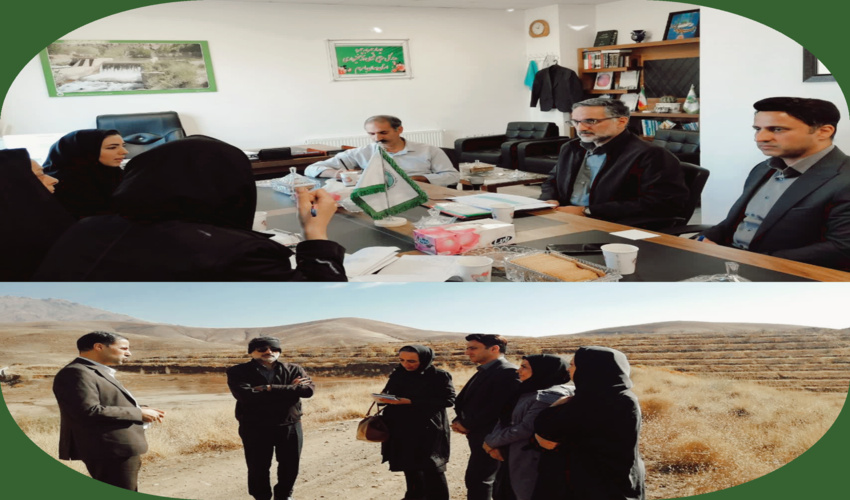 جیرفت/تشویق جوامع محلی به اجرای طرح زراعت چوب در شهرستان جیرفت