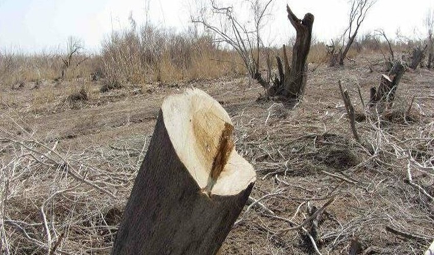 هفته بسیج گرامی باد