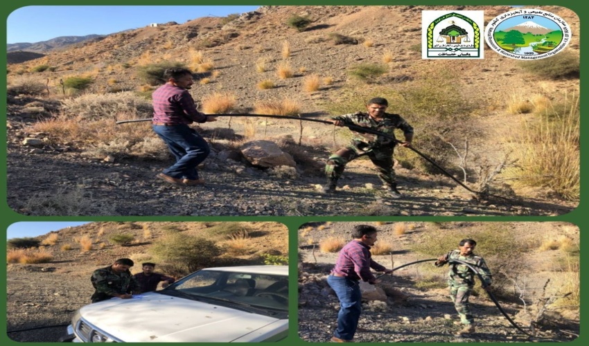 جیرفت/۲٠٠٠ مترمربع از اراضی ملی شهرستان جیرفت رفع تصرف شد