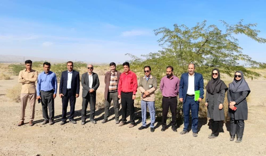 گزارش تصویری/بازدید از طرح های جنگلکاری و بیابانزدایی جنوب کرمان