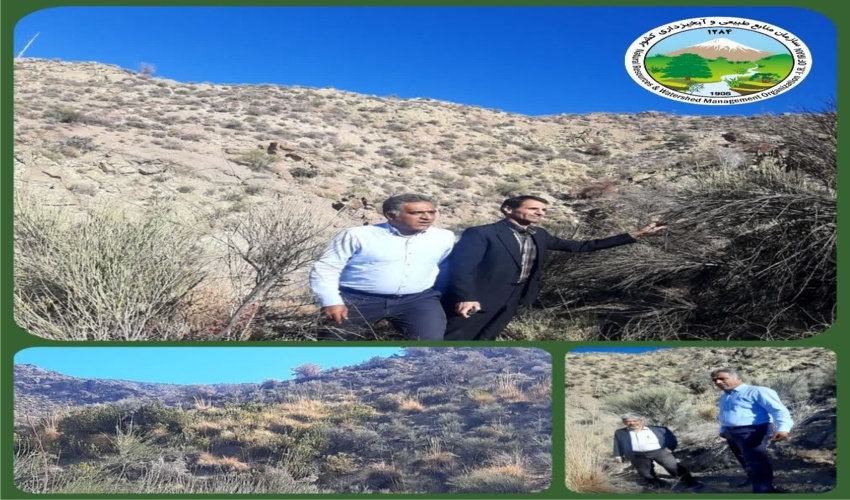 جیرفت/نقش مهم همیاران طبیعت  شهرستان جیرفت در حفظ و حراست از عرصه های منابع ملی