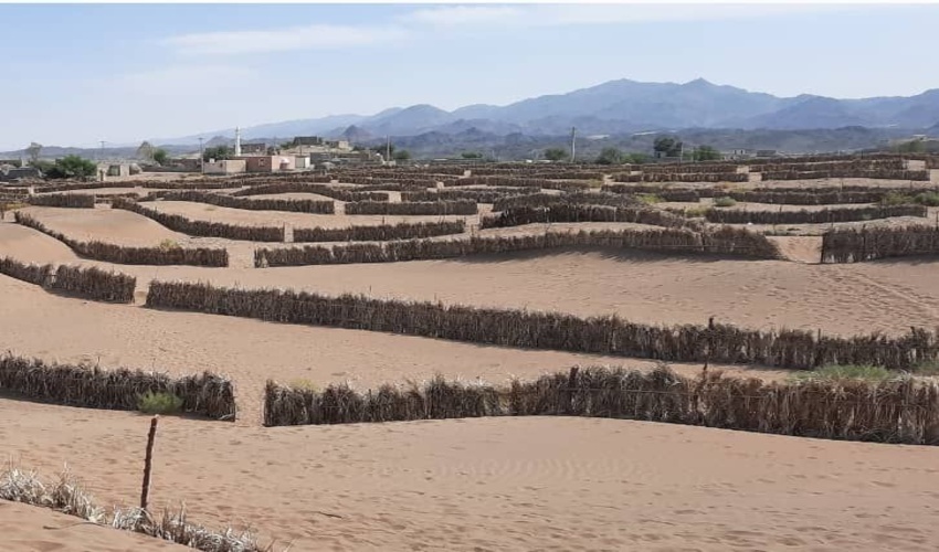 قلعه گنج/تاثیراحداث بادشکن غیرزنده گارو بر زندگی ساکنان محلی