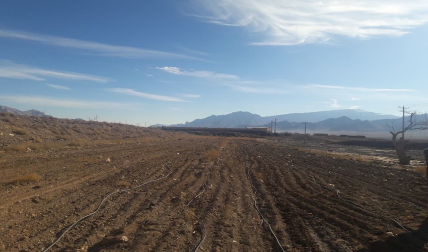 سومین سالگرد شهادت سردار سپهبد حاج قاسم سلیمانی تسلیت باد