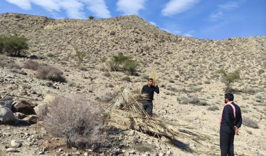 عنبرآباد/رفع تصرف بیش از ۵٠٠٠ مترمربع از اراضی ملی عنبرآباد