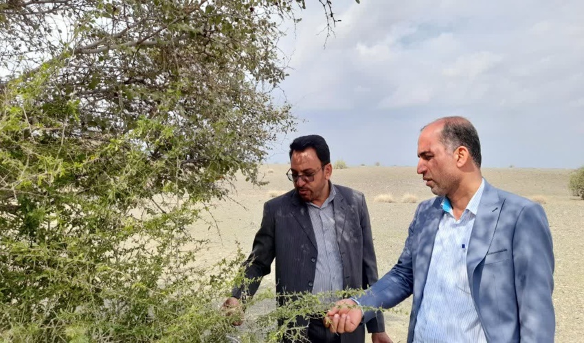 حفاظت از منابع ملی یک وظیفه عمومی است