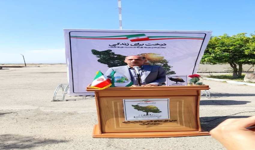 ۳۷٠ هزار اصله نهال رایگان در هفته منابع طبیعی در جنوب کرمان توزیع می شود