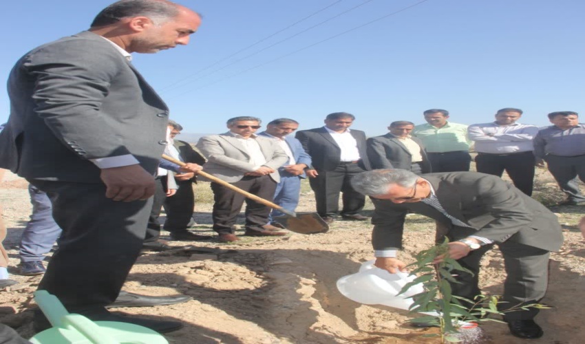 ۳٠ هزار اصله نهال جنگلی در روز درختکاری در جنوب کرمان غرس شد
