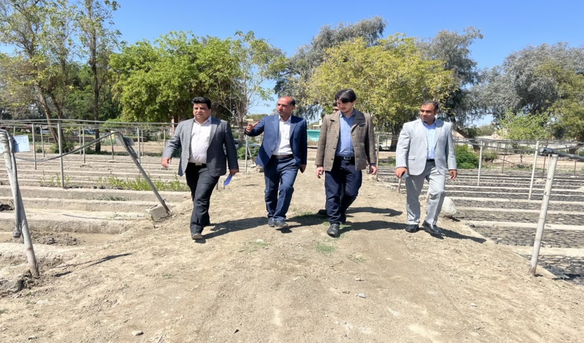 در راستای طرح مردمی کاشت یک میلیارد درخت ۶ نهالستان در جنوب کرمان ساماندهی و بهسازی شد