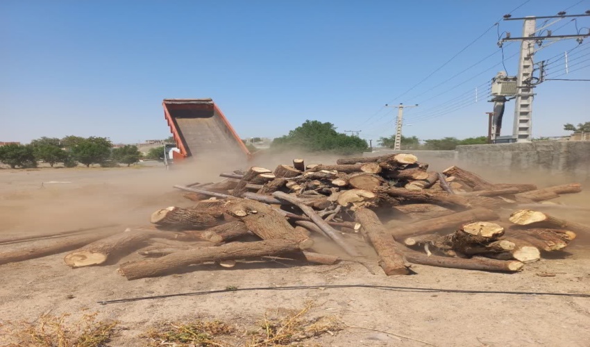 کهنوج/کشف و ضبط ۱۳ تُن چوب بدون مجوز حمل در شهرستان کهنوج