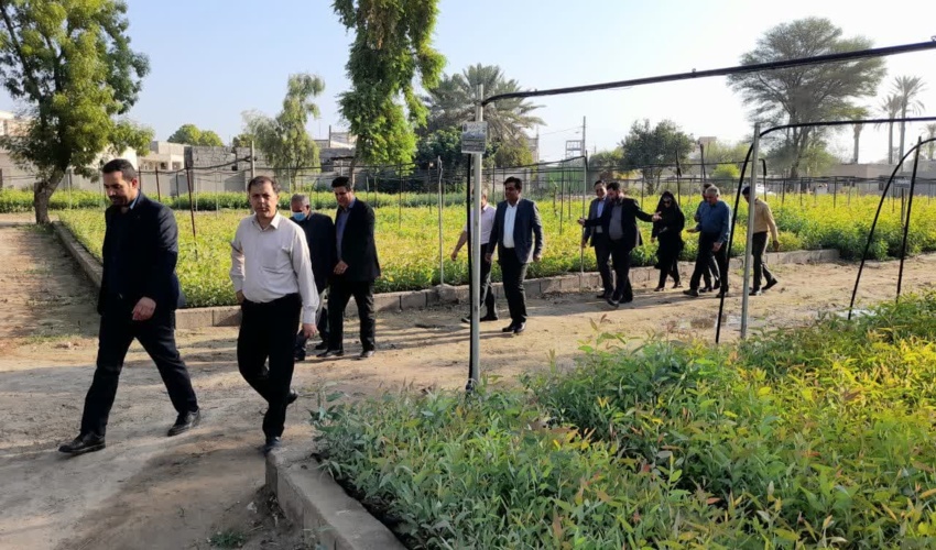 در راستای طرح مردمی کاشت یک میلیارد درخت، ۴ هزار هکتار زراعت چوب  و ۸ هزار کیلومتر  باد شکن زنده اطراف مزارع طی چهارسال در جنوب کرمان اجرا می شود