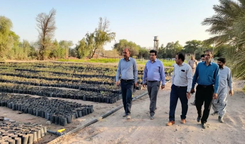 بازدید مدیرکل منابع طبیعیی و آبخیزداری جنوب کرمان از نهالستان بوئینگ جازموریان