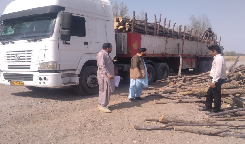 جازموریان/کشف و ضبط ۲۳ تُن چوب بدون مجوز حمل در شهرستان جازموریان