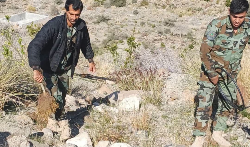 ️عنبرآباد/بیش از ۱۸ هزار مترمربع از اراضی ملی شهرستان عنبرآباد رفع تصرف شد