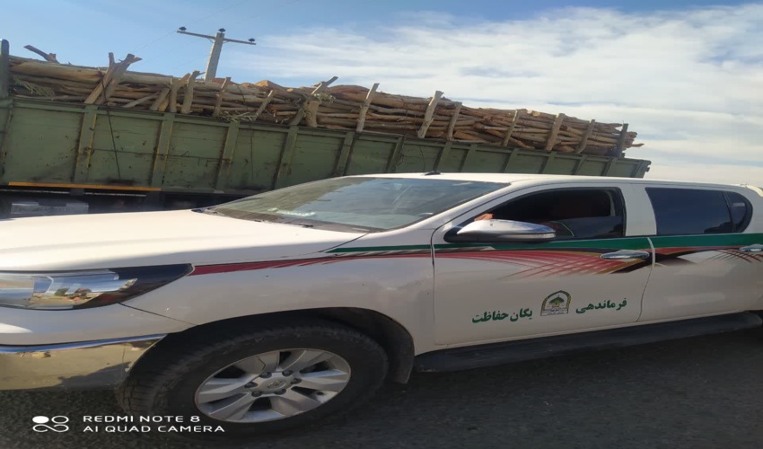 کشف و ضبط ۱۵ تُن چوب بدون مجوز حمل در شهرستان جیرفت