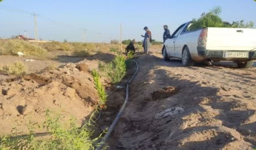 کاشت 500 اصله نهال در روستای محمدآباد کتکی شهرستان جازموریان