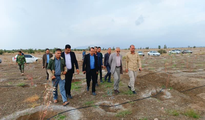 گزارش تصویری/ بازدید رییس سازمان منابع طبیعی و آبخیزداری کشور از پروژههای جنوب کرمان