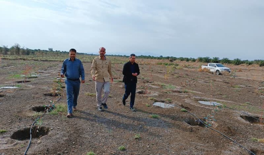 بازدید مدیرکل منابع طبیعی و آبخیزداری جنوب کرمان از پروژه های شهرستان های قلعه گنج و منوجان
