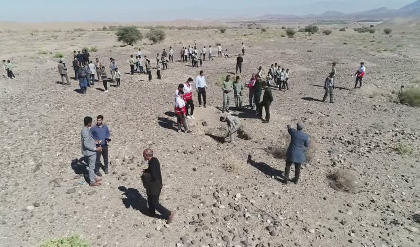  ۶ هزار اصله نهال کنار و کهور ایرانی با همکاری بسیج دانش آموزی شهرستان کهنوج کاشته شد