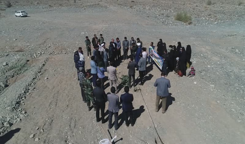 همزمان با دهه فجر عملیات نهالکاری پارک شهر چاه مرید کهنوج آغاز شد