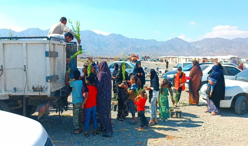 توزیع نهال در حاشیه جشنواره فرهنگی، اقتصادی شتر