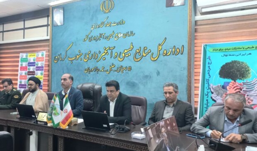 به حمل چوب درختان غیرجنگلی مجوز می دهیم/ دو پایگاه اطفای حریق منابع طبیعی در ساردوئیه و چاه دادخدا راه اندازی می شود