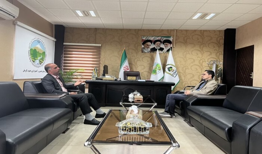 در اراضی ملی اکالیپتوس نمی کاریم