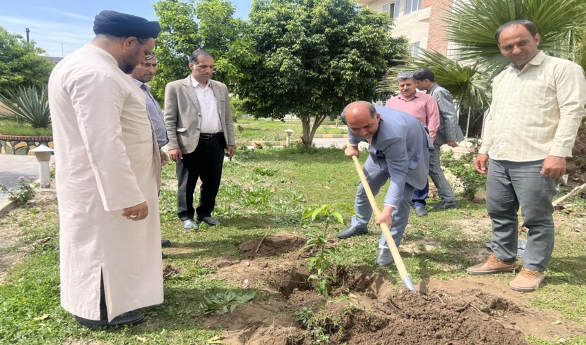 غرس نهال در آستانه سال نو و بهار طبیعت