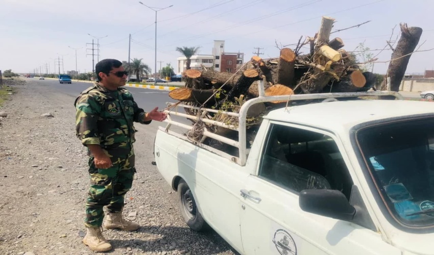کشف و ضبط یک تُن چوب بدون مجوز حمل در شهرستان جیرفت