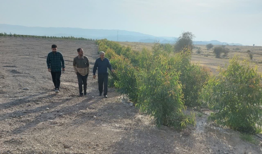 بازدید رئیس اداره اموربیابان اداره کل منابع طبیعی و آبخیزداری جنوب کرمان از پروژههای شهرستان منوجان