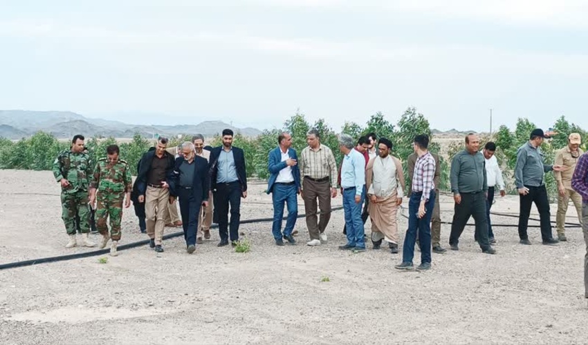 سفر رئیس سازمان منابع طبیعی و آبخیزداری کشور به جنوب کرمان 