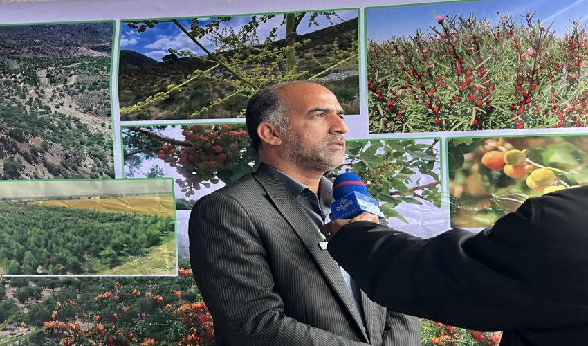 احیای ۱۰ هزار هکتار از مراتع جنوب کرمان