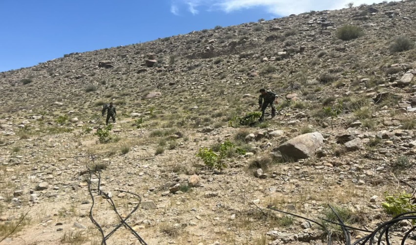 ️بیش از ۱۵۰۰ مترمربع از اراضی ملی شهرستان عنبرآباد رفع تصرف شد