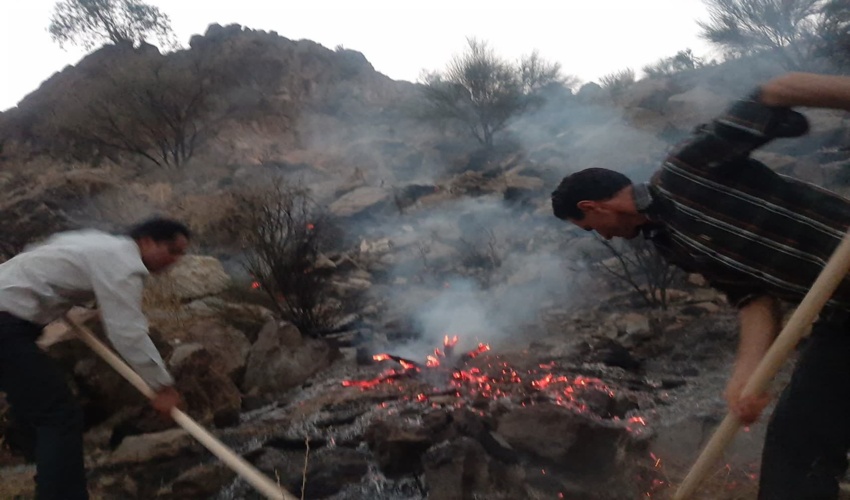 مهار آتش سوزی عرصه های منابع طبیعی دلفارد شهرستان جیرفت 