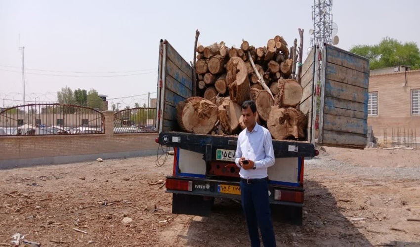 کشف و ضبط بیش از ۷ تُن چوب بدون مجوز حمل در شهرستان رودبارجنوب
