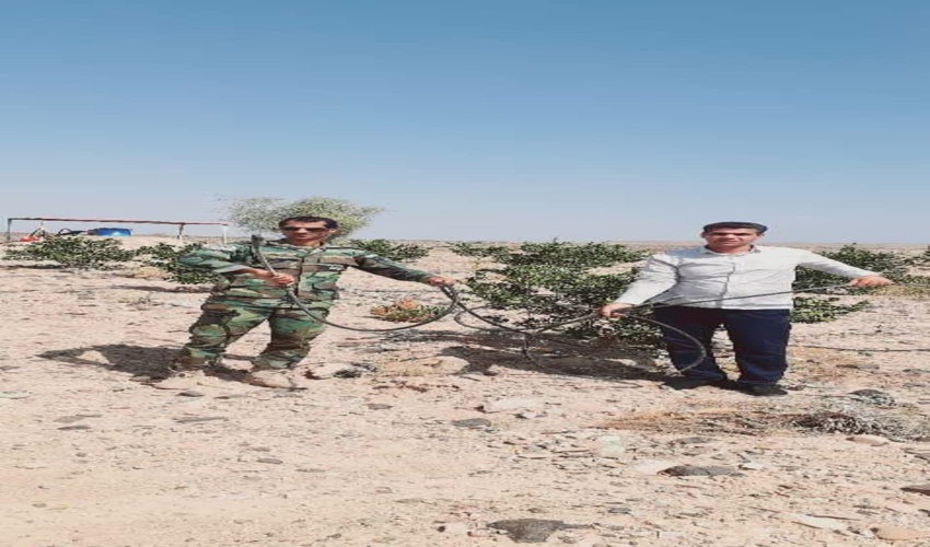 بیش از۱۴٠٠ مترمربع از اراضی ملی شهرستان عنبرآباد رفع تصرف شد