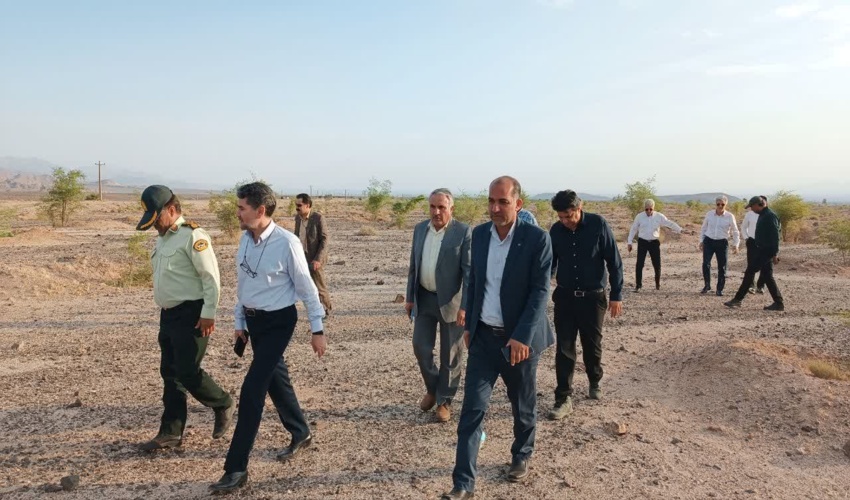 بازدید معاون برنامه ریزی، توسعه مدیریت و منابع سازمان منابع طبیعی کشور از پروژه جنگلکاری تل سیاه شهرستان جیرفت